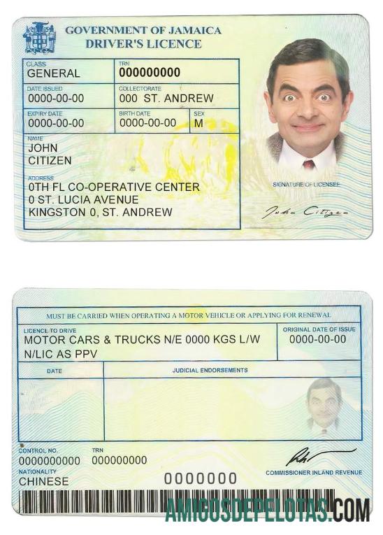 Carta de condução da Jamaica exemplo